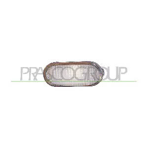 VG0324041 PRASCO
