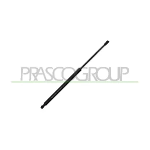PG3269065 PRASCO