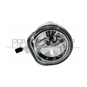 FT1374413 PRASCO
