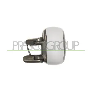 FT9087324 PRASCO