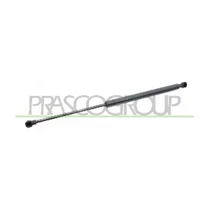PG4209055 PRASCO