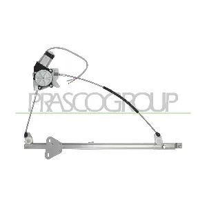 VG913W021 PRASCO