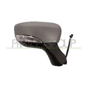 RN3297313 PRASCO