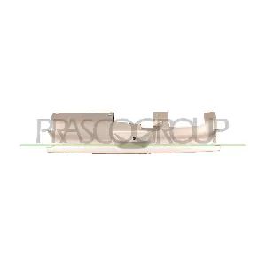 PG0402001 PRASCO