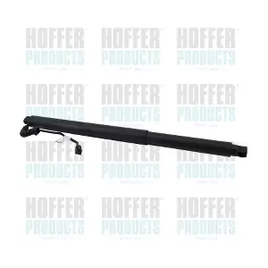 H301099 HOFFER