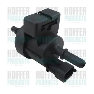 8029889 HOFFER