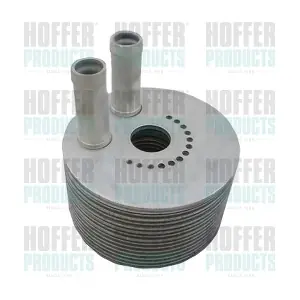 8095175 HOFFER