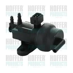8029723 HOFFER