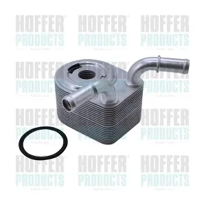 8095313 HOFFER