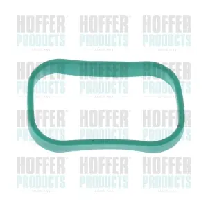 016158 HOFFER
