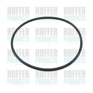 HOFFER 01655