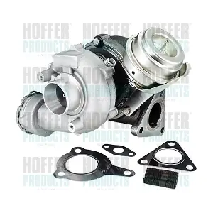 6900065 HOFFER