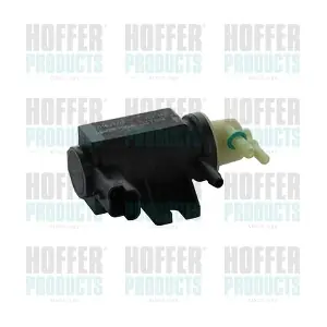 8029519 HOFFER
