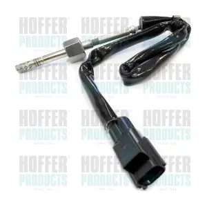 7452001 HOFFER