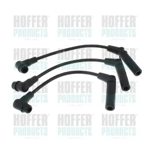 101009 HOFFER