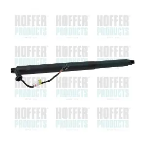 H301081 HOFFER