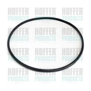 GSK06 HOFFER