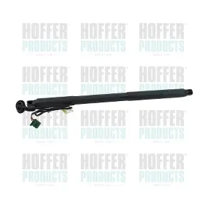 H301091 HOFFER