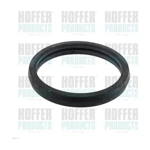 HOFFER 01694
