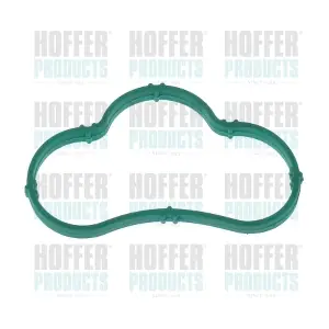 016198 HOFFER