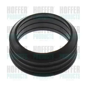 HOFFER 016160