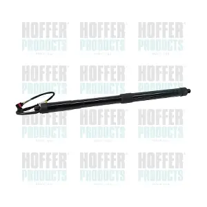 H301082 HOFFER