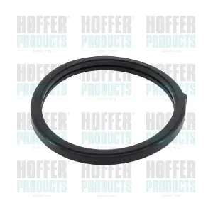 HOFFER 01698