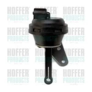 8029438 HOFFER