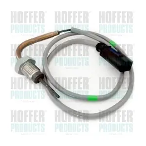 7452384 HOFFER