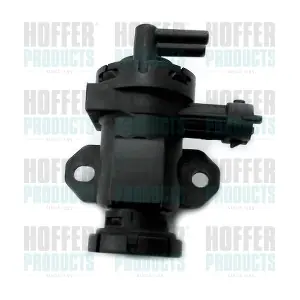8029734 HOFFER
