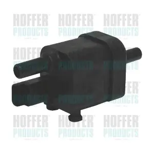 8029304 HOFFER