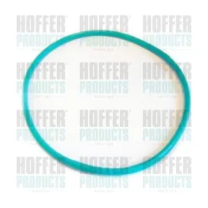 GSK02 HOFFER