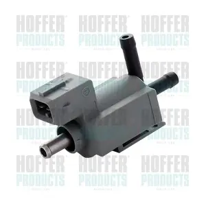 8029770 HOFFER