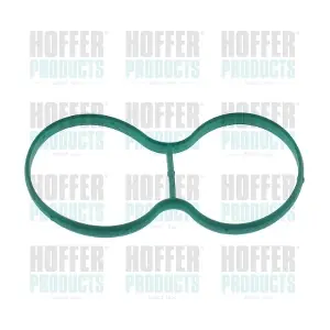 016154 HOFFER