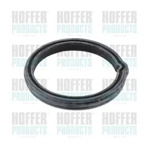 01664 HOFFER