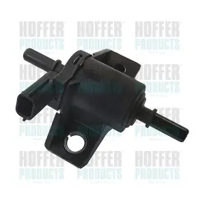 8029326 HOFFER