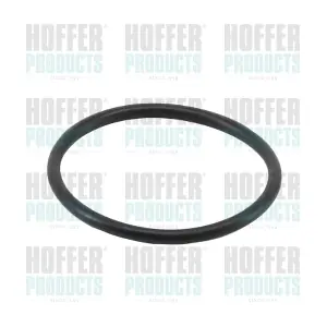 01669 HOFFER