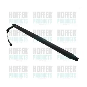 H301039 HOFFER