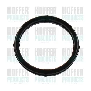 016249 HOFFER