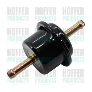 21174 HOFFER