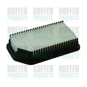18398 HOFFER