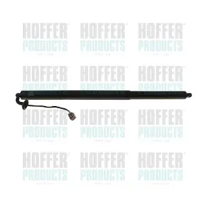 H301127 HOFFER
