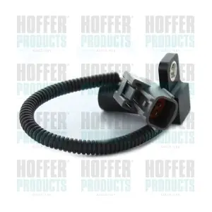 87313 HOFFER