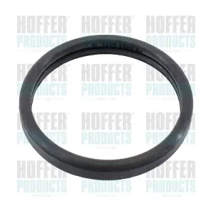 HOFFER 01675