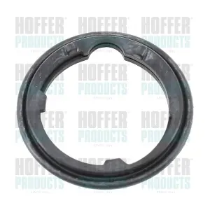 HOFFER 01680