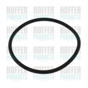 HOFFER 016112