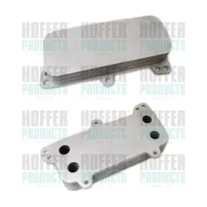 8095013 HOFFER