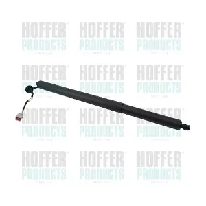 H301106 HOFFER