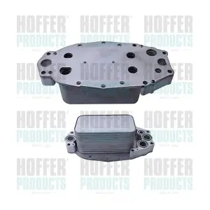 8095247 HOFFER