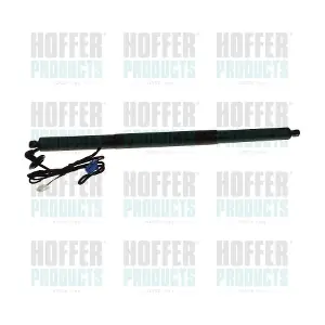 H301121 HOFFER